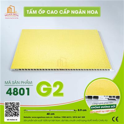 Nhựa nano G2 - 4801
